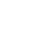 momentum-icon-career