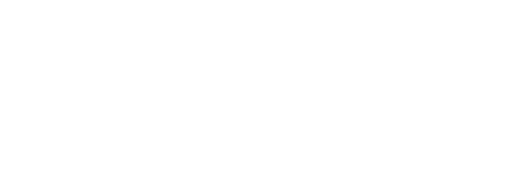 novo 1