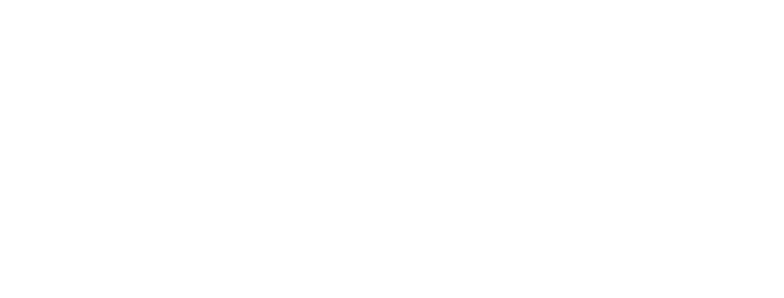novo 1