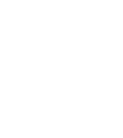 sbi 1